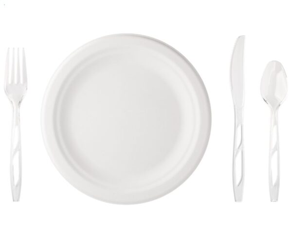 Compostable Plate, Cutlery, and Napkin (per person)